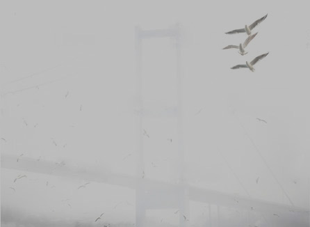 Sayın & Sarıgül | Hakkımızda